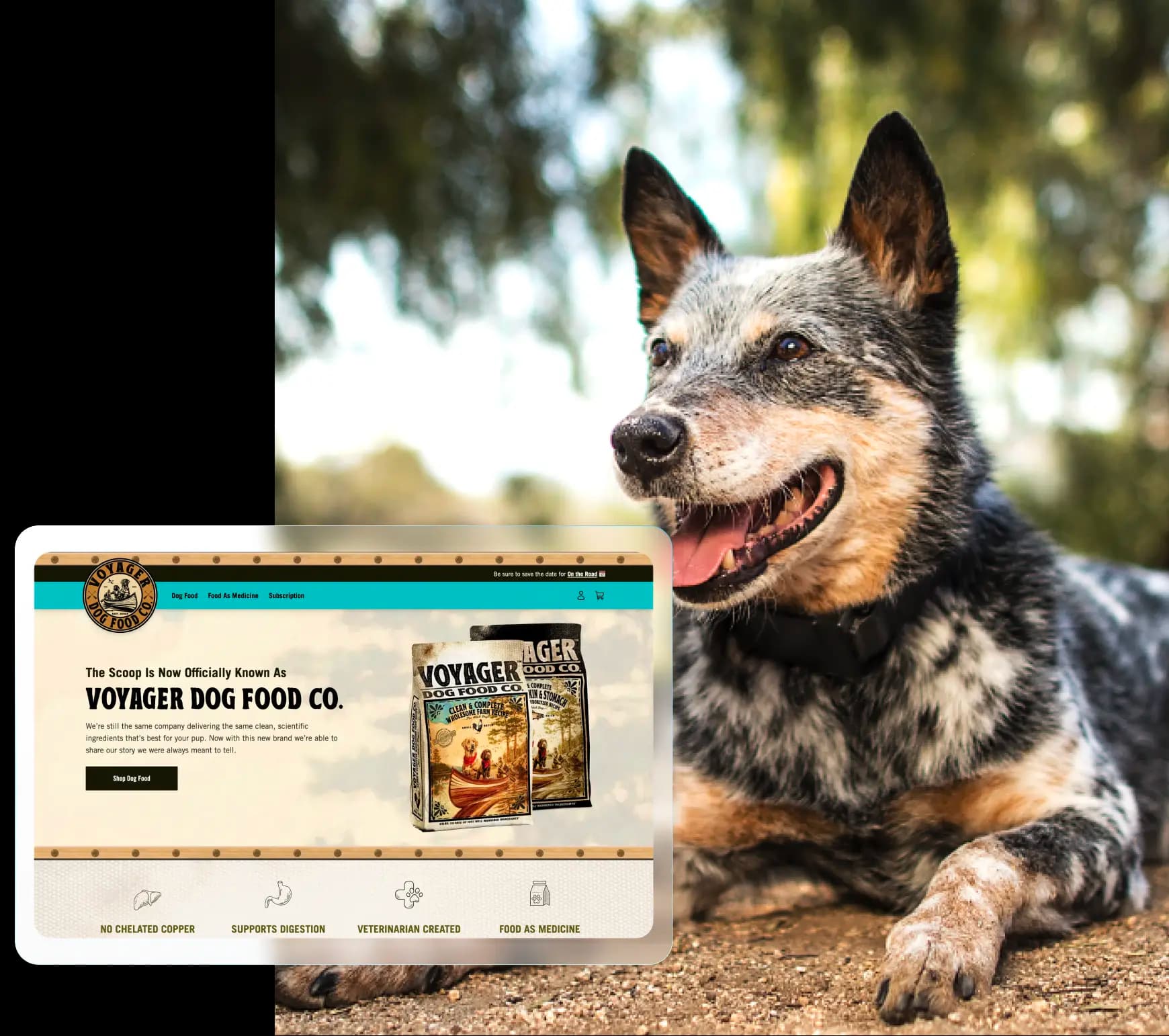 Voyager Dog Food Co