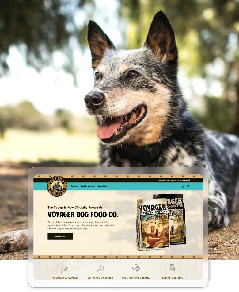 Voyager Dog Food Co